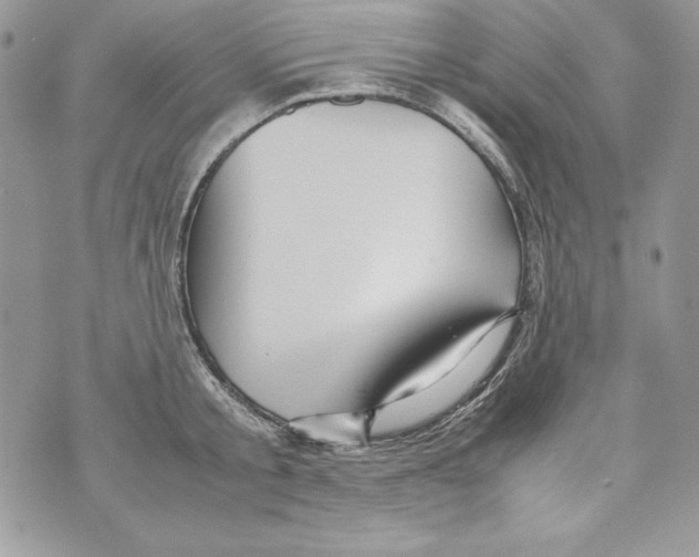 X0000070410805200607072308