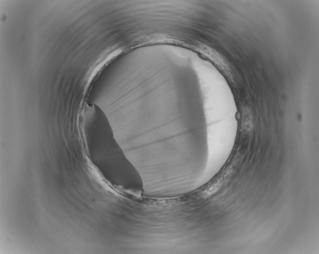 X0000070410806200607072308