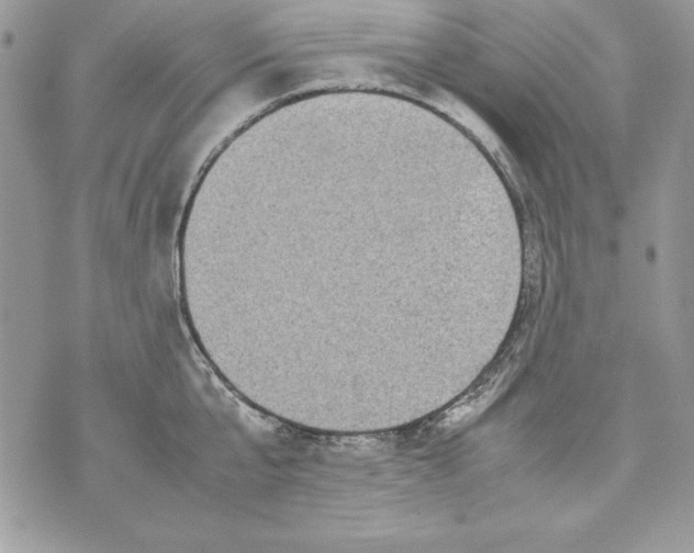 X0000070410807200607072308