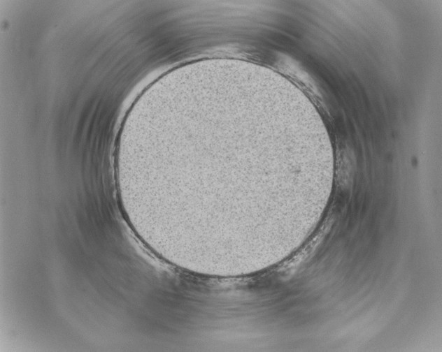 X0000070410808200607072307