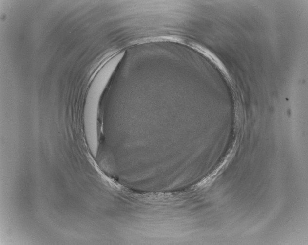 X0000070410809200607072307