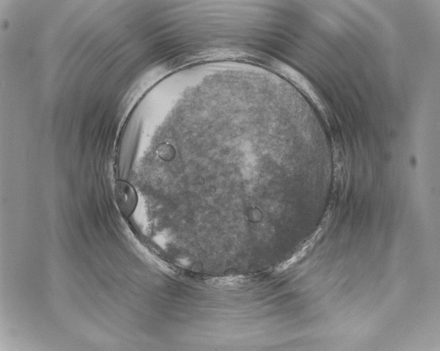 X0000070410810200607072307