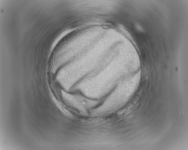 X0000070410811200607072307