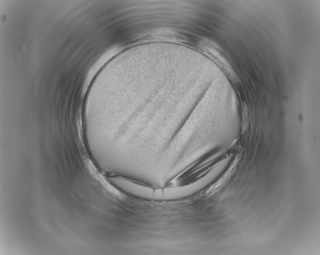 X0000070410812200607072307