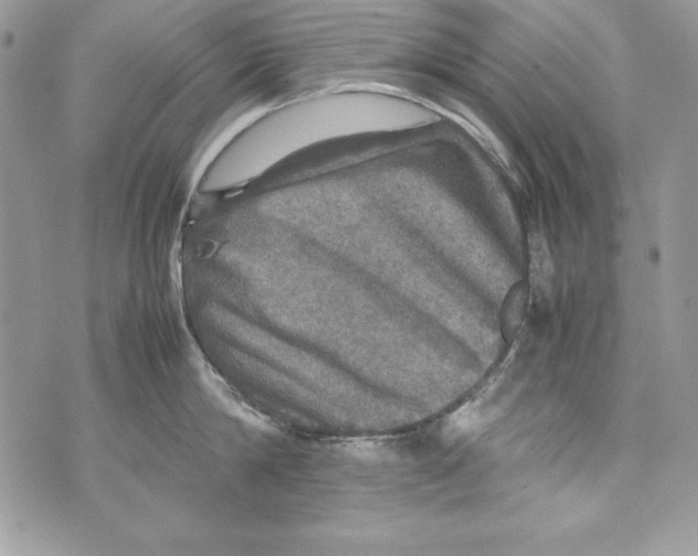 X0000070410814200607072307