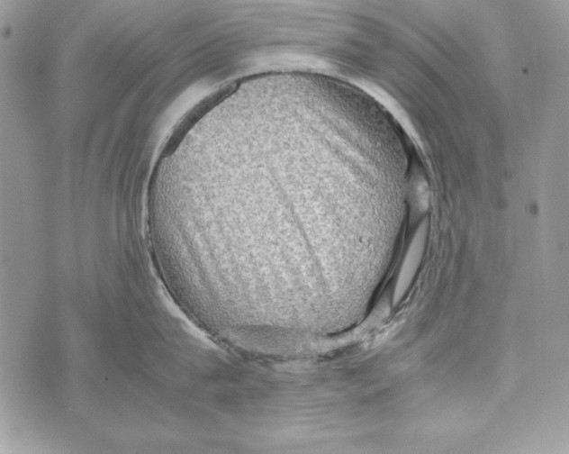 X0000070410815200607072307