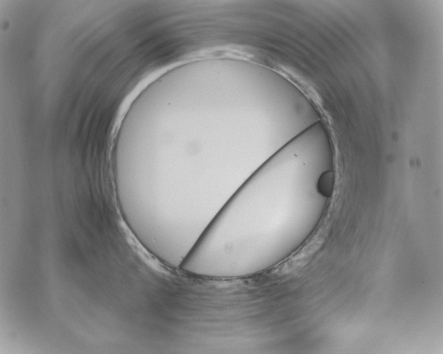 X0000070410816200607072307