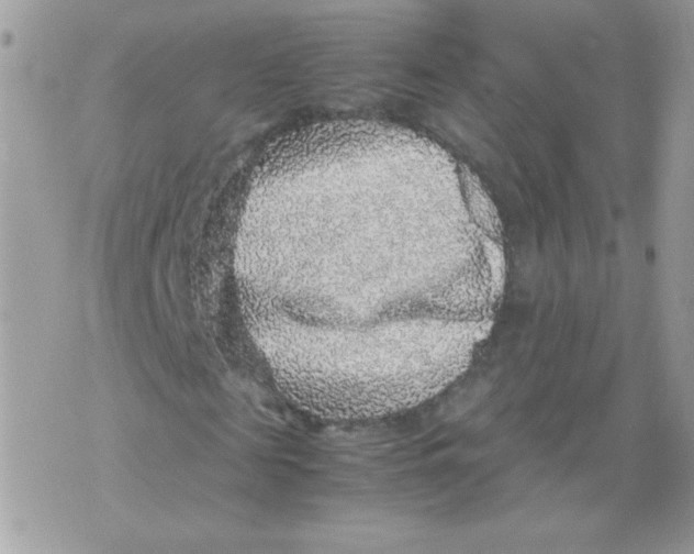 X0000070410817200607072307