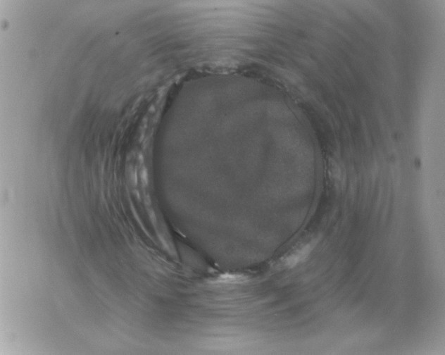 X0000070410818200607072307