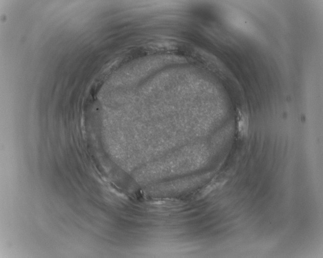 X0000070410819200607072307