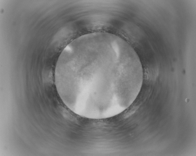 X0000070410820200607072307