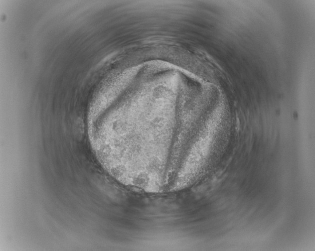 X0000070410821200607072307