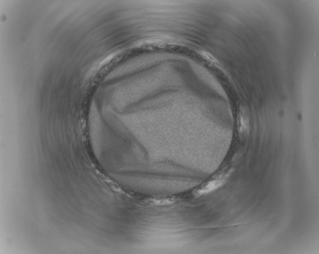 X0000070410822200607072307