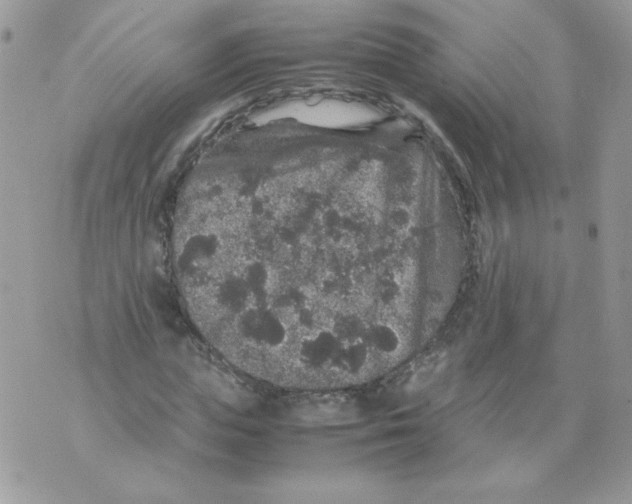 X0000070410823200607072307