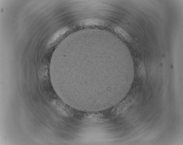 X0000070410824200607072307