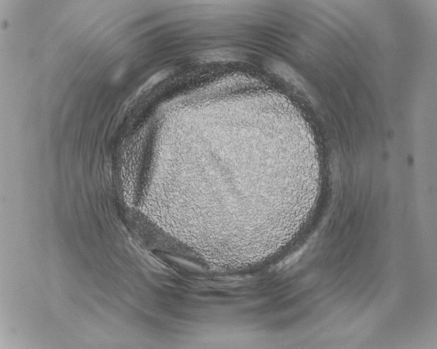 X0000070410825200607072307