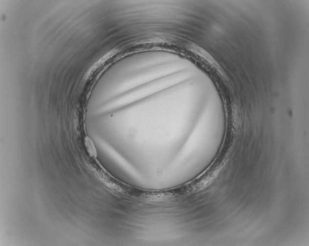 X0000070410826200607072307