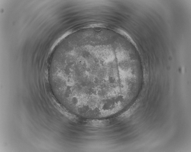 X0000070410827200607072307