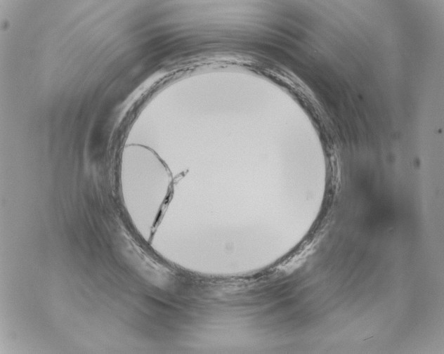 X0000070410828200607072307