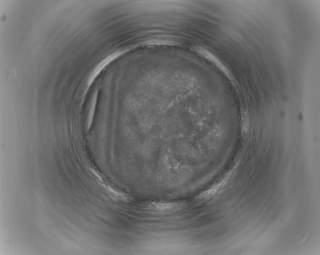 X0000070410829200607072307