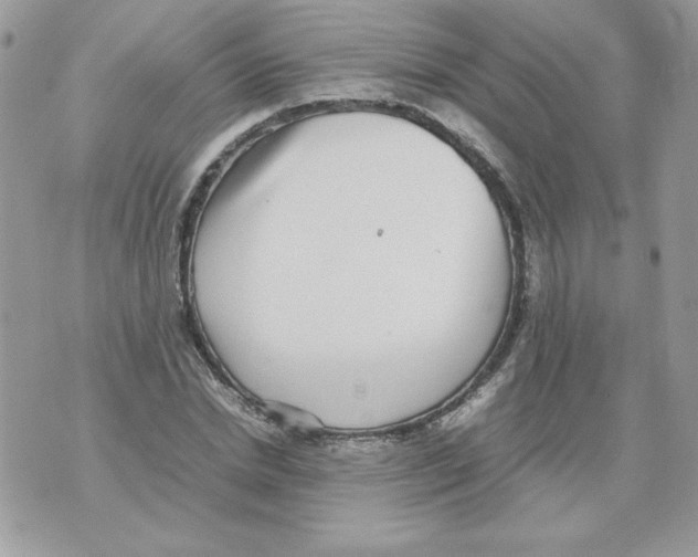 X0000070410830200607072307