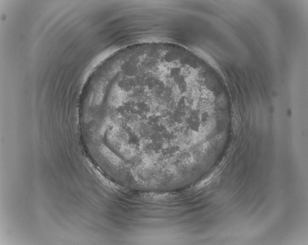 X0000070410831200607072307