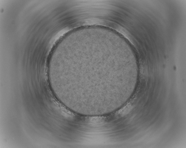 X0000070410832200607072307