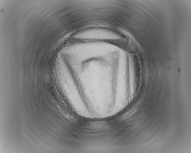 X0000070410833200607072307