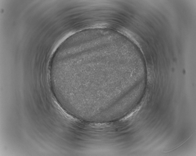 X0000070410835200607072307