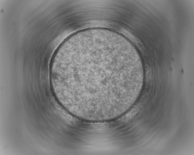 X0000070410836200607072307