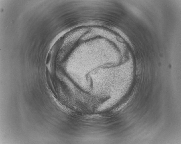 X0000070410837200607072307