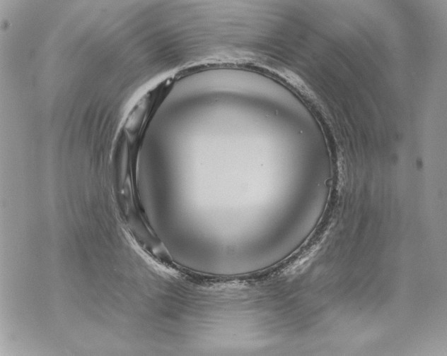 X0000070410838200607072307