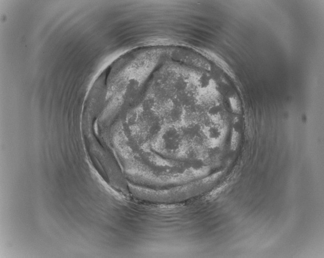 X0000070410839200607072307