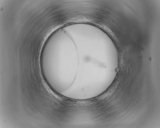 X0000070410840200607072307