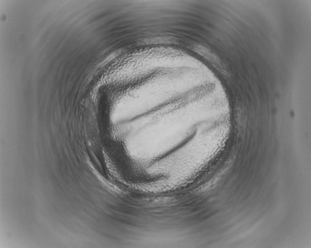 X0000070410841200607072307