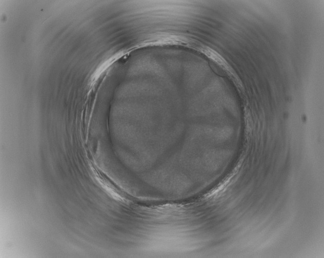 X0000070410842200607072307