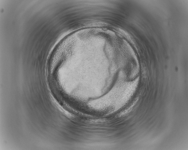 X0000070410843200607072307