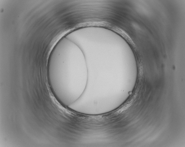 X0000070410844200607072307