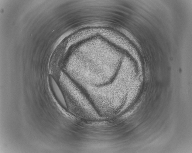 X0000070410845200607072307