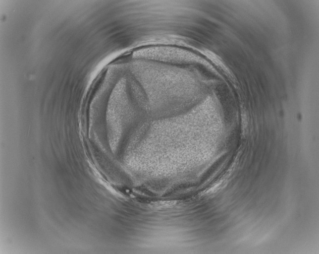 X0000070410846200607072307