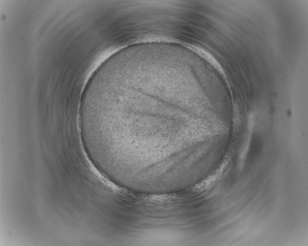 X0000070410847200607072307