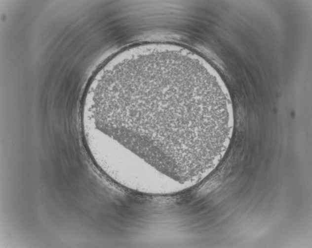 X0000070410848200607072307