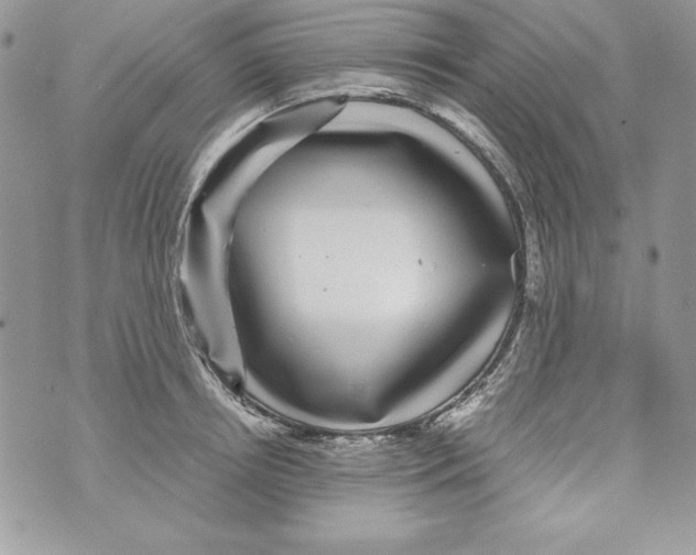 X0000070410850200607072307