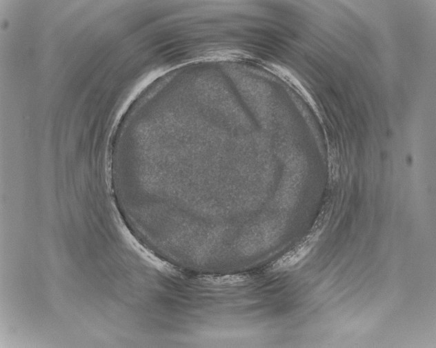 X0000070410851200607072307