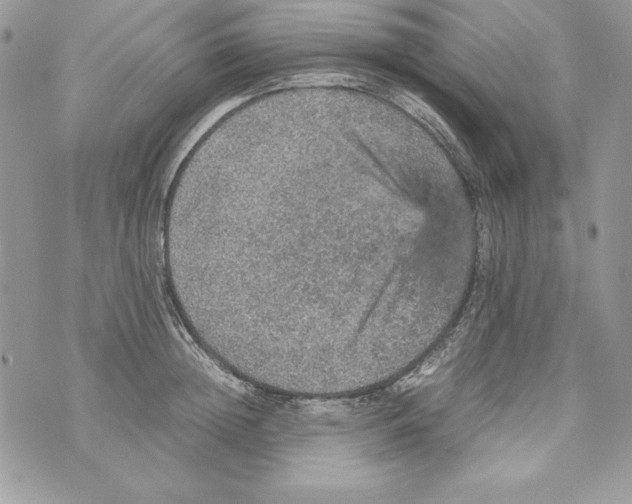 X0000070410852200607072307