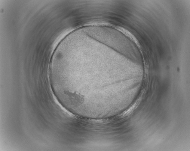 X0000070410855200607072307