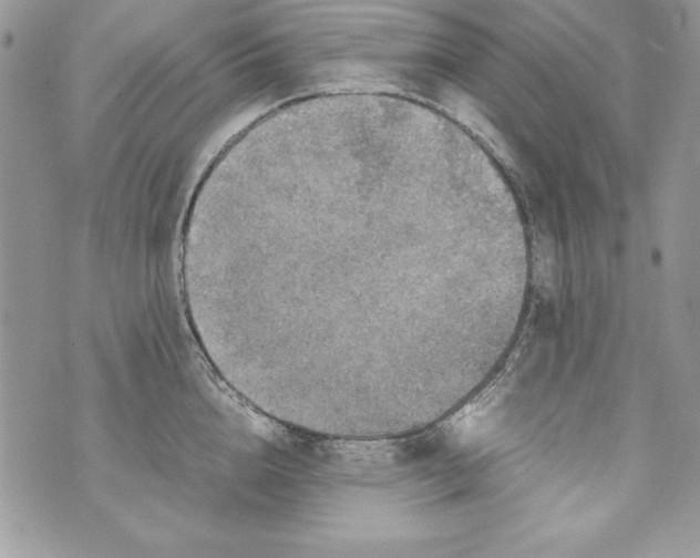 X0000070410856200607072307