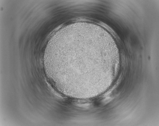 X0000070410857200607072307