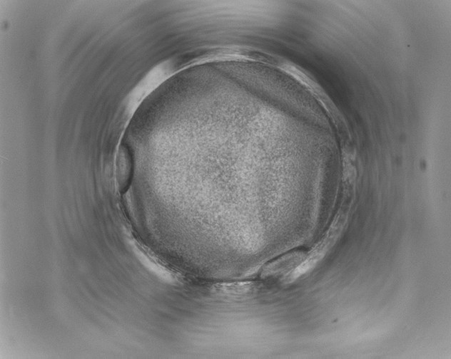 X0000070410858200607072307