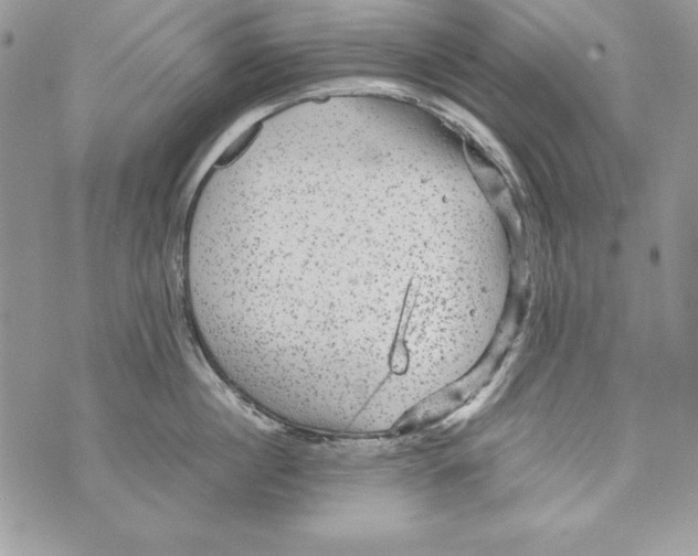 X0000070410860200607072307